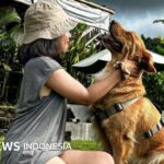 Kecintaan pada anjing peliharaan mendorong bisnis di Bali