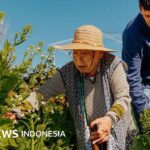 Bewegung: Von der Gartenarbeit bis zum Treppensteigen können kurze Aktivitätsschübe Ihnen helfen, länger zu leben