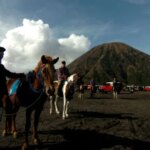 Tujuh Koper Turis Thailand Raib Digondol Maling di Bromo, Polisi Turun Tangan