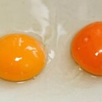 Seien Sie vorsichtig, der Verzehr von Eiern ohne Eigelb kann zu einer Lebensmittelvergiftung führen