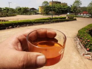 Die CPO-Preise steigen im Februar 2026, angekurbelt durch die gestiegene Nachfrage zum chinesischen Neujahr bis zum Ramadan