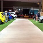 Durchschnittlicher Verkaufspreis für Autos, plötzlich leere Straßen bei Razzien, meistverkaufte Marken Januar 2026