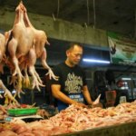 Handelsminister Budi wird 45.000 IDR pro kg erreichen und die Preise für Hühnerfleisch auf dem Markt überprüfen
