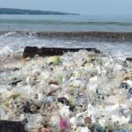 Umweltschutzunterricht, Generaldirektion Politik und Politikwissenschaften des Innenministeriums lädt Studenten ein, Strände auf Bali zu reinigen