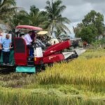 Ein Anstieg von 13,29 Prozent gegenüber 2024