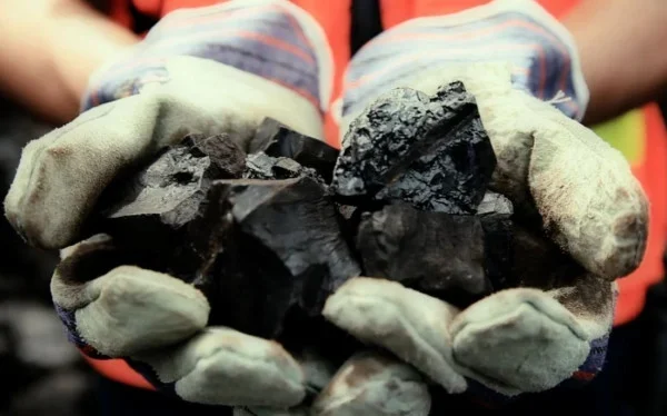 Kohleunternehmer protestieren gegen die Kürzung der Produktionsziele für 2026 durch ESDM um bis zu 70 Prozent