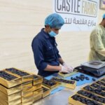 Datteln und weißes Wasser beim Fastenbrechen, Sunnah des Propheten voller Weisheit