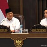 Frohes chinesisches Neujahr, möge es uns allen Frieden bringen