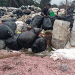 Große Aufregung! 21 Säcke mit geschredderter Rupiah-Währung in Bekasi, illegaler Müll, angeblich echt