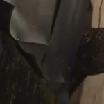 Leopard dringt in ein Wohngebiet im Bezirk Bandung ein, greift zwei Bewohner an und verletzt sie