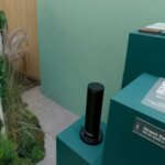 Die Wahl der falschen Farbe kann Emotionen beeinflussen, das sind 4 Themen, die verfolgt werden