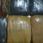 Polda Metro Jaya verhaftet drei Männer, die 15,5 kg Marihuana verteilen wollen