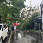 Extremes Wetter trifft Semarang City, Dutzende Bäume stürzten – eine Person starb