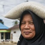 Indonesia akan impor beras dari AS – Anomali di tengah klaim swasembada?