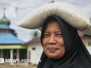 Indonesia akan impor beras dari AS – Anomali di tengah klaim swasembada?