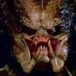 Kommt ein neuer Predator-Film? – Film Daily