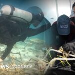 Kisah perempuan muda 'tukang kebun bawah laut' di Selat Makassar