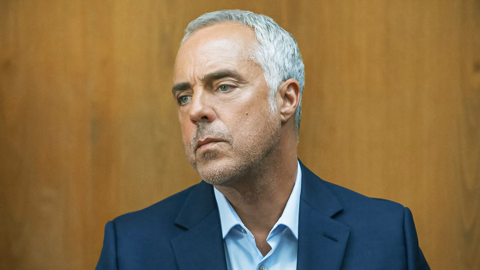 Die neue Bosch-Serie hat ihren Mickey-Haller-Ersatz gefunden