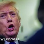 Trump gibt zu, dass er den rassistischen Clip, in dem Obama als Affe dargestellt wird, „nicht gesehen“ hat