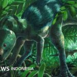 Wissenschaft: Hühnergroßer Dinosaurier in Spanien entdeckt