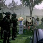 Xbox beendet offiziell das beliebteste Franchise der Fans