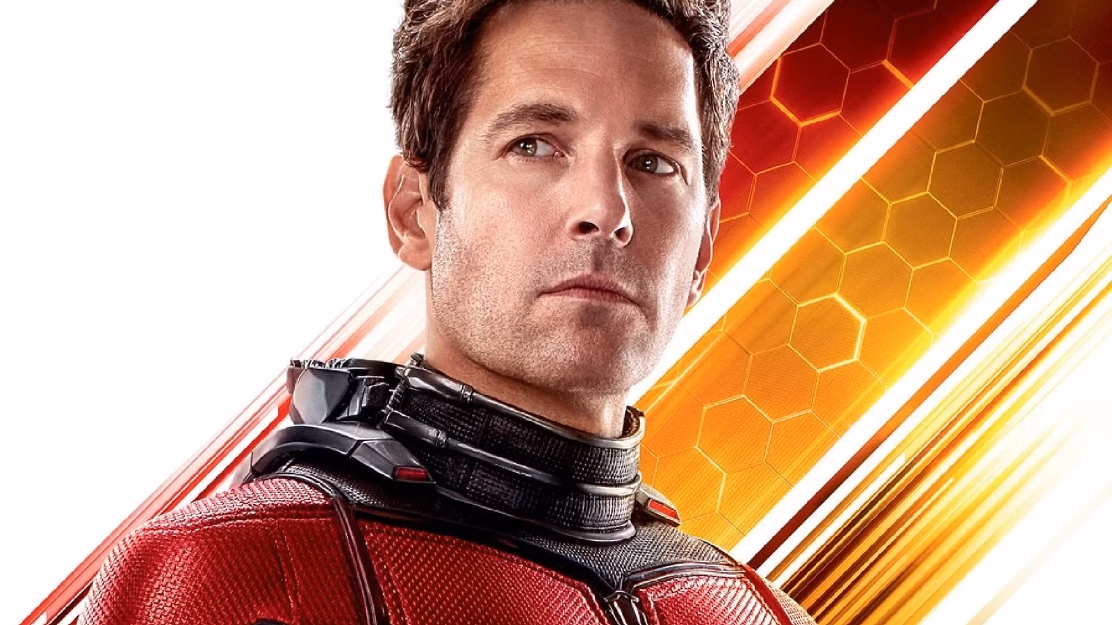 Marvel bestätigt offiziell das Design von Ant-Man für das neue Erscheinungsbild von Spider-Man