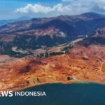 Lingkungan: Deforestasi Indonesia meningkat 'dan berpotensi juara tropis dunia' dalam setahun pemerintahan Prabowo