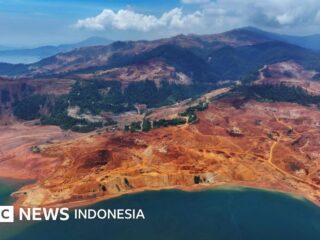 Lingkungan: Deforestasi Indonesia meningkat 'dan berpotensi juara tropis dunia' dalam setahun pemerintahan Prabowo