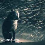 Die Gewinnerfotos der Sony World Photography Awards 2026