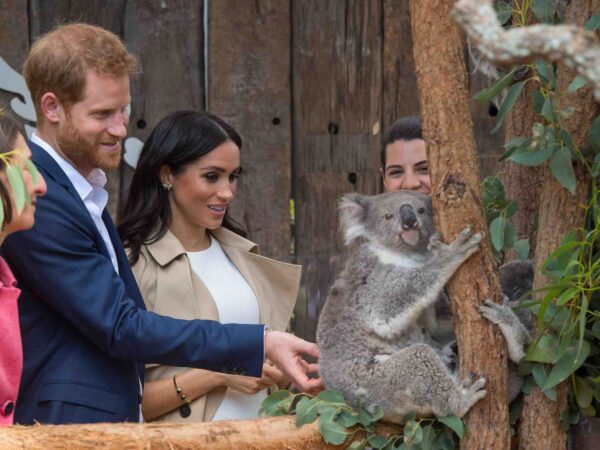 Dahinter kommen Harry und Meghan zurück nach Down Under! – Film Daily