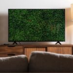 Was macht einen Fernsehdienst für die ganze Familie „einfach“ – Film Daily