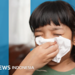 Was ist Cicada, die neue Variante von Covid-19?