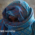 Perompak Somalia bangkit lagi – 'Laut adalah bisnis kami'
