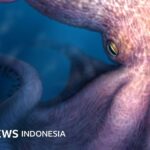 Wissenschaft: In der Antike herrschten Riesenkraken über die Ozeane