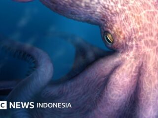 Wissenschaft: In der Antike herrschten Riesenkraken über die Ozeane