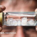 Tiere: Welcher Stich tut am meisten weh?