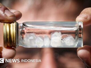 Tiere: Welcher Stich tut am meisten weh?