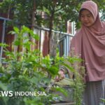 Die Geschichte eines ehemaligen IT-Mitarbeiters, der seinen Beruf aufgab, um Landwirt zu werden