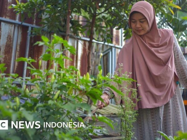 Die Geschichte eines ehemaligen IT-Mitarbeiters, der seinen Beruf aufgab, um Landwirt zu werden