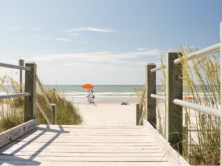 Essen, Spaß und Live-Unterhaltung – Film Daily