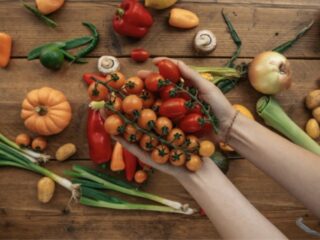 Wie bunte Teller ein lebendiges Leben inspirieren – Film Daily