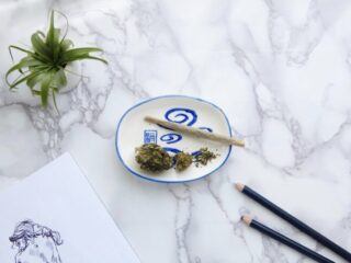 Wie Myrcen und Linalool den Entourage-Effekt verstärken? – Film Daily