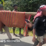 Papua: Kisah lansia lumpuh dan anak yang tewas ditembak di Dogiyai