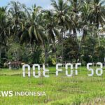 Wisata: Menguak modus investasi ilegal WNA di Bali