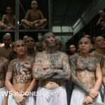 Kriminalität: In El Salvador beginnt der Prozess gegen Hunderte Anführer der MS-13-Bande