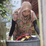 Apa saja yang diatur dalam UU Perlindungan Pekerja Rumah Tangga?