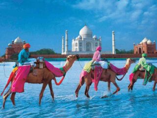 Wie es zu einem Standardbestandteil der internationalen Reiseplanung geworden ist – Film Daily