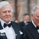 David Attenborough: Royals führen Ehrungen zum 100. Geburtstag an