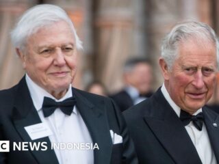 David Attenborough: Royals führen Ehrungen zum 100. Geburtstag an