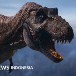 Dinosaurier: Warum sind T.-Rex-Arme so klein?